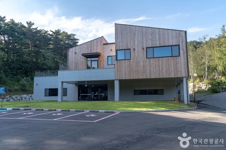 국립 대관령자연휴양림 (15)