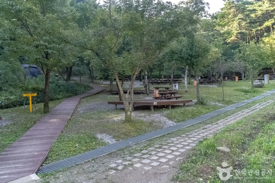 국립 대관령자연휴양림 (16)