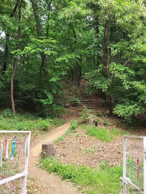 서울_구룡산(서울) (5)