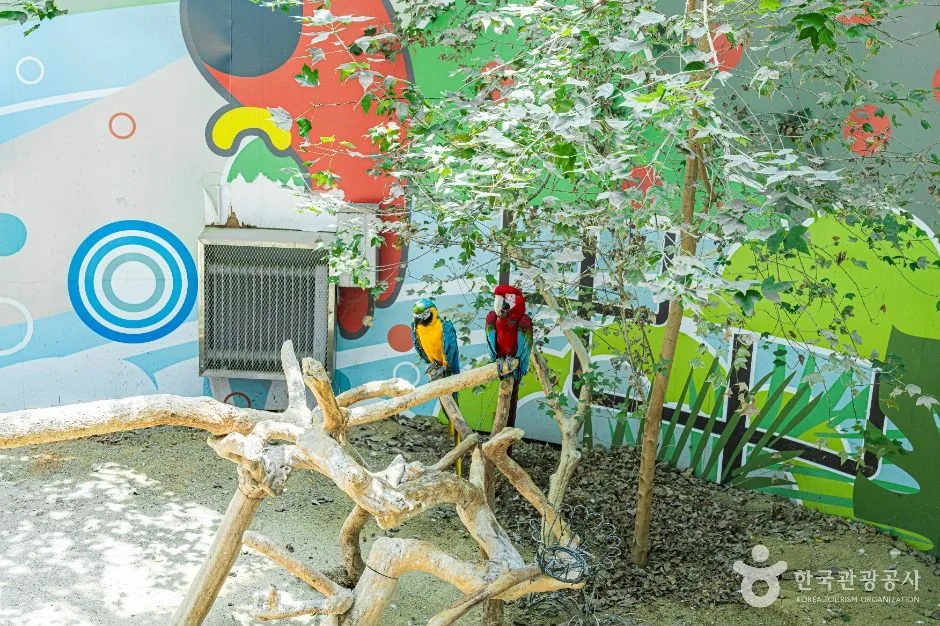 광주_광주 우치공원 동물원 (3)