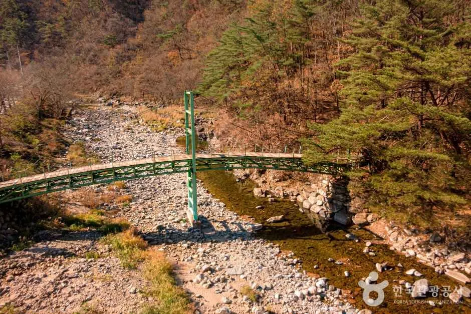 강원_영월군_김삿갓 계곡 (2).jpg