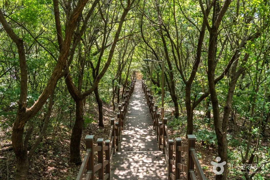 성남_영장공원 (4)