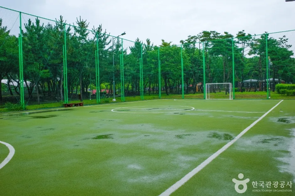 둔배미공원 (23)
