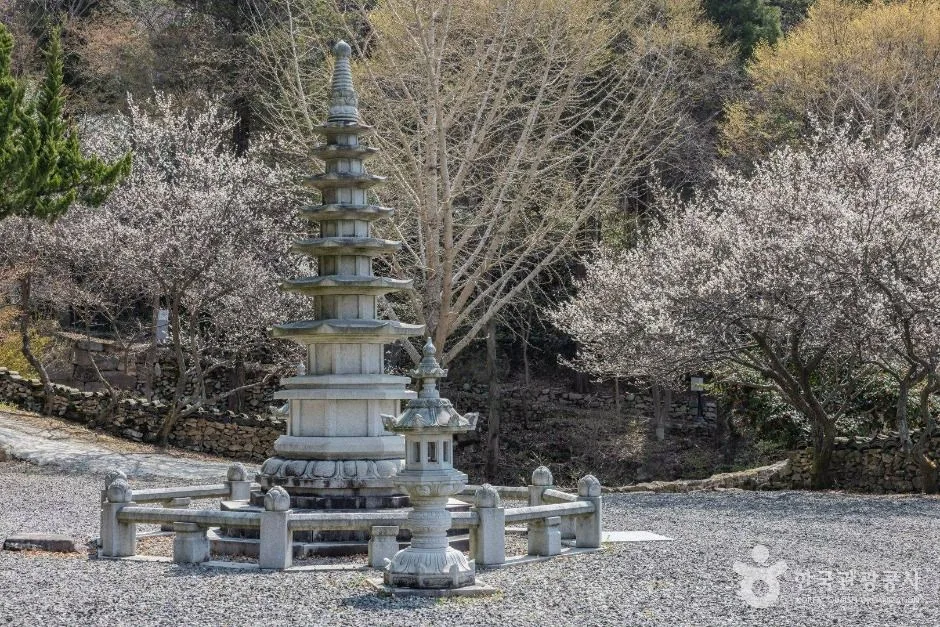 순천_금둔사 (22)