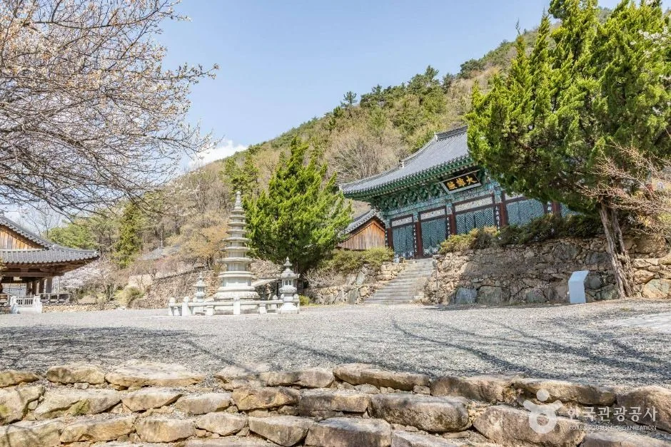 순천_금둔사 (5)