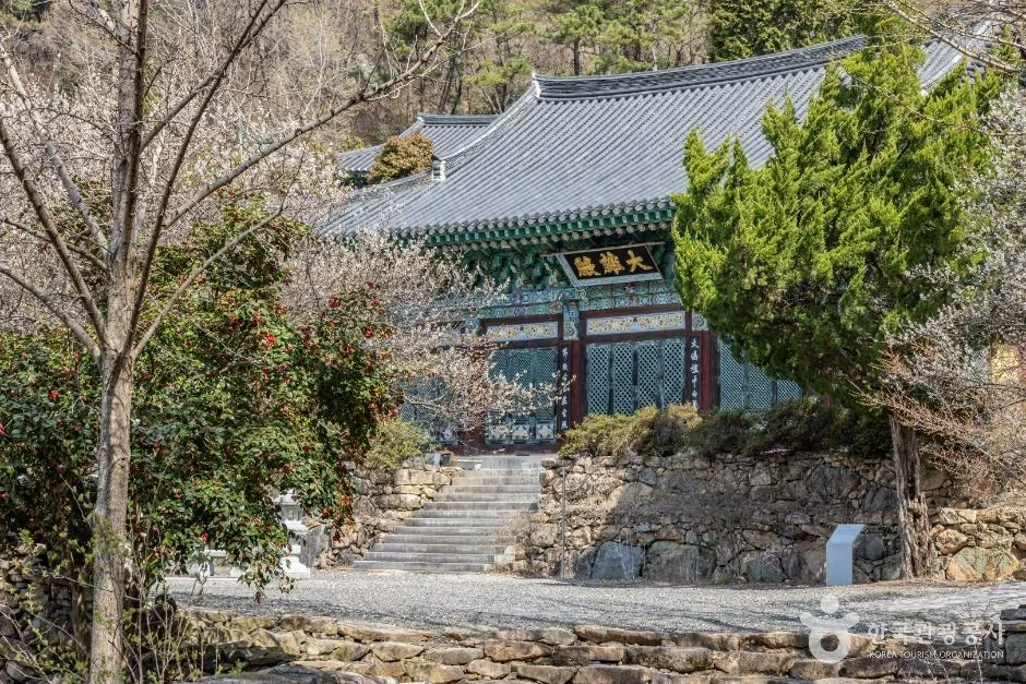 순천_금둔사 (4)