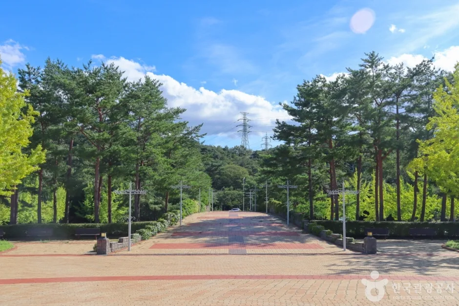 울산대공원 (7)