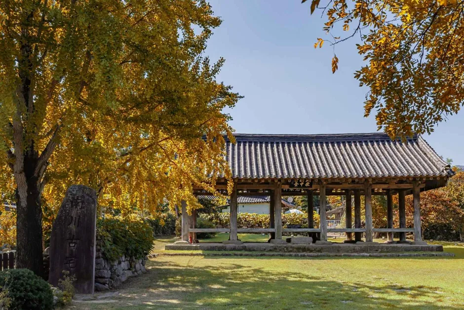 한밤마을 (2)