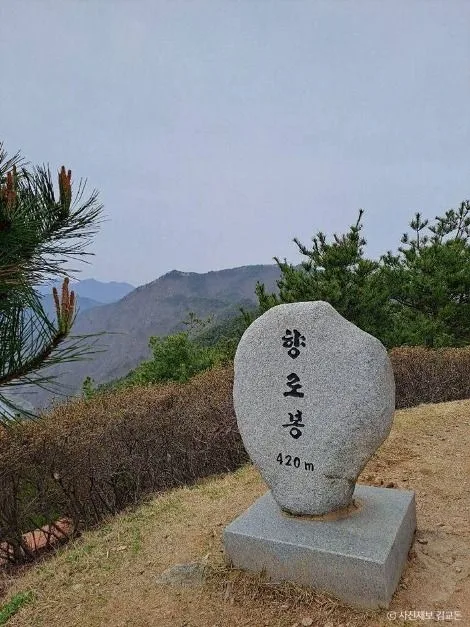 무주_무주 향로산 자연휴양림 (4).jpg