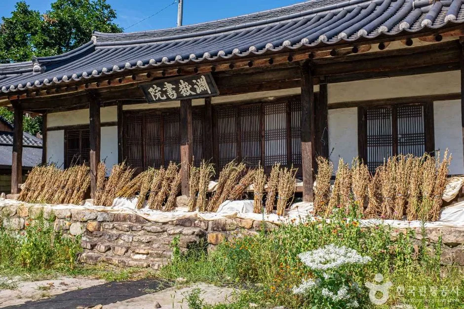 상주_연악서원 (3)