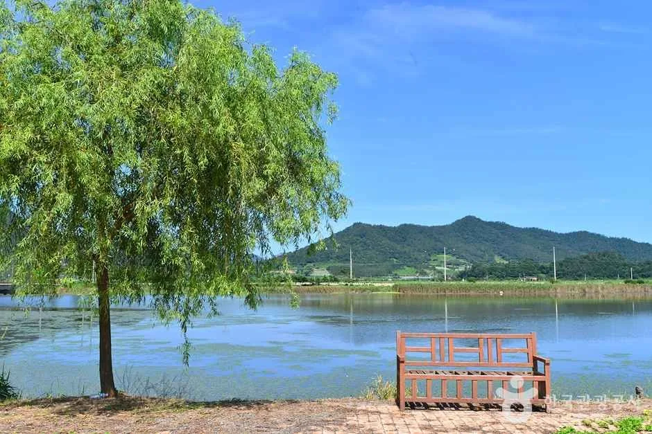 전남_진도_송가인마을 (1)