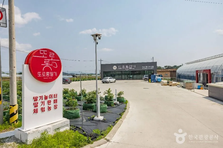 논산_또로롱딸기 (3)