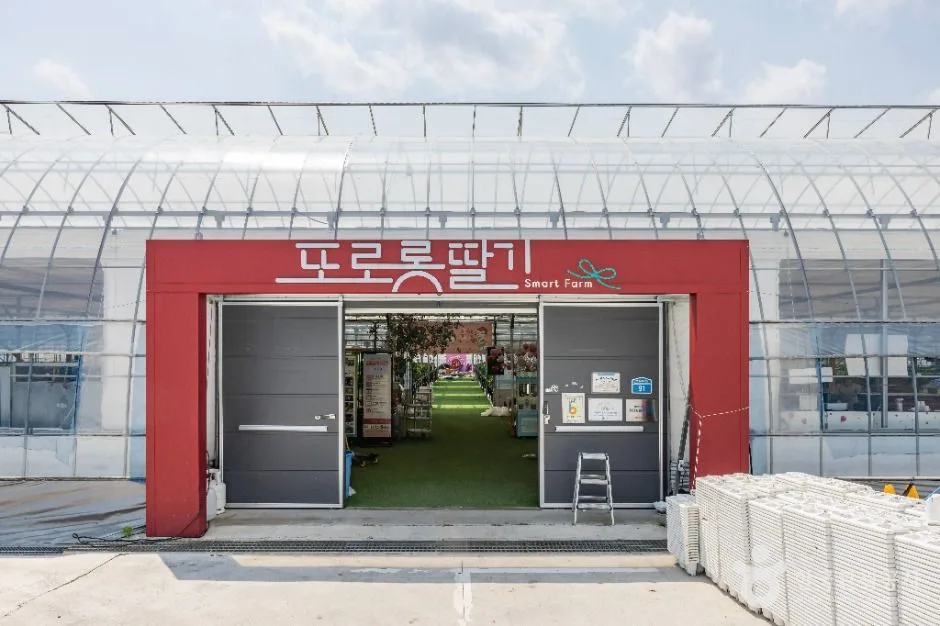 또로롱딸기