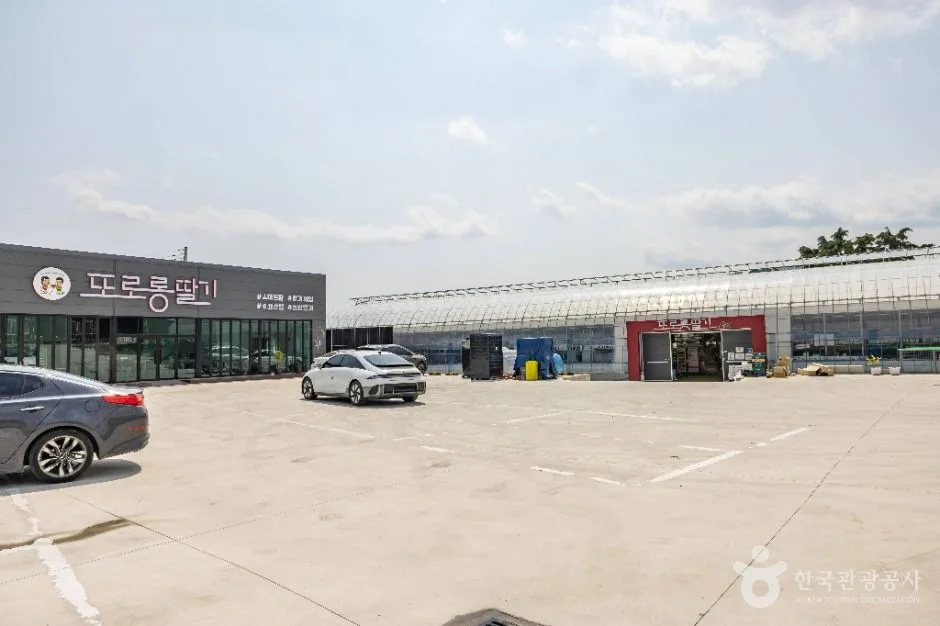 논산_또로롱딸기 (2)