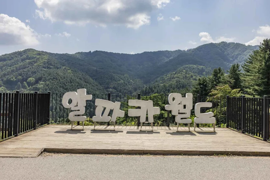 알파카월드 (1)