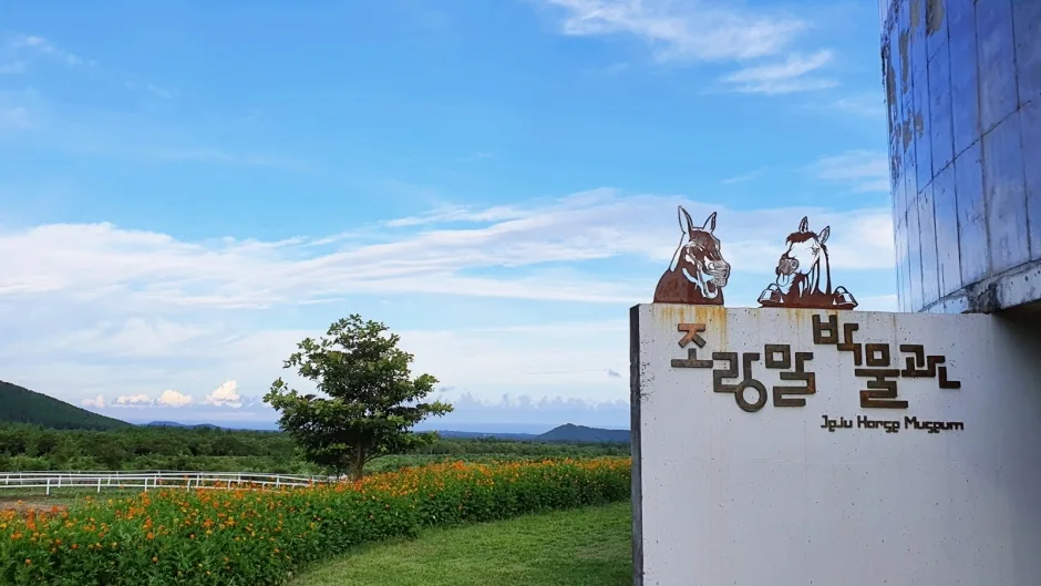 조랑말체험공원_5