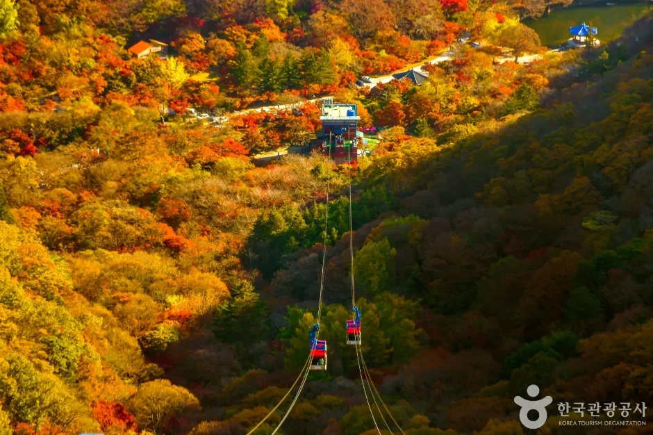 정읍_내장산 케이블카 (1).jpg