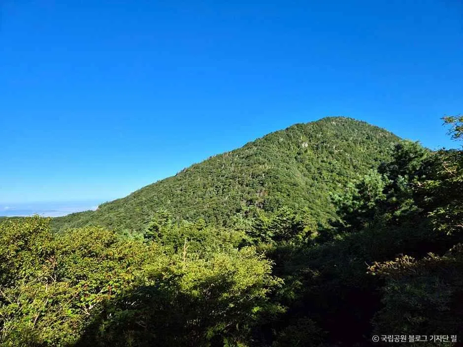 지리산 반야봉