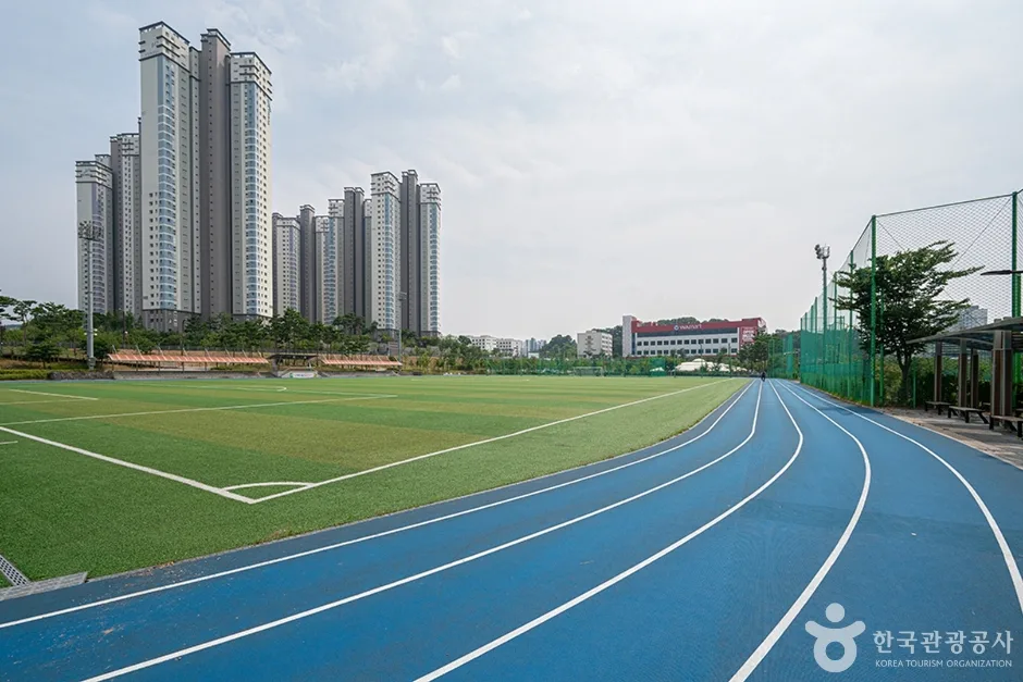 남양체육공원 (11)