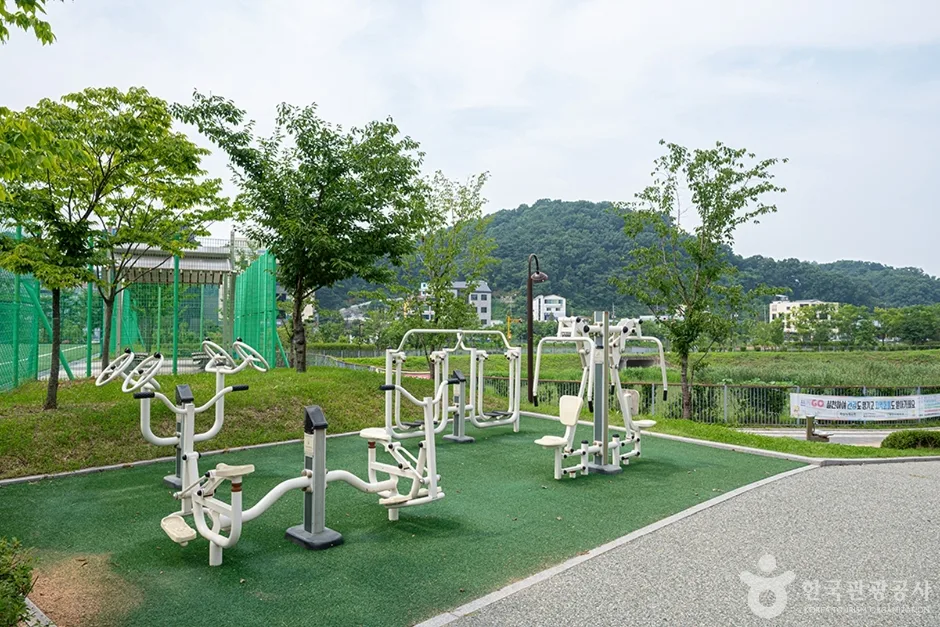 남양체육공원 (5)