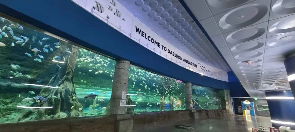 대전아쿠아리움 (1)