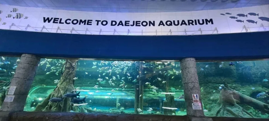 대전아쿠아리움 (2)