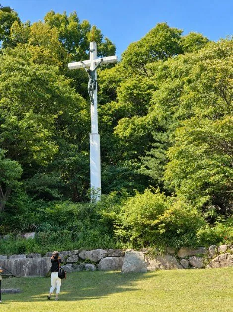 칠곡_한티억새마을 (1).jpg