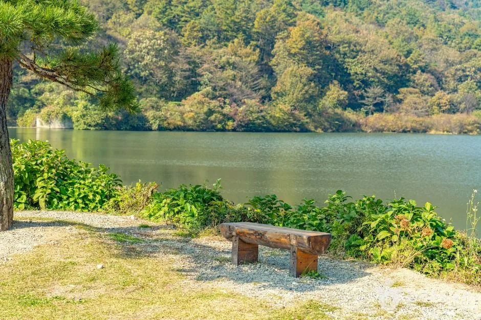 완주_오성제 저수지 (5)