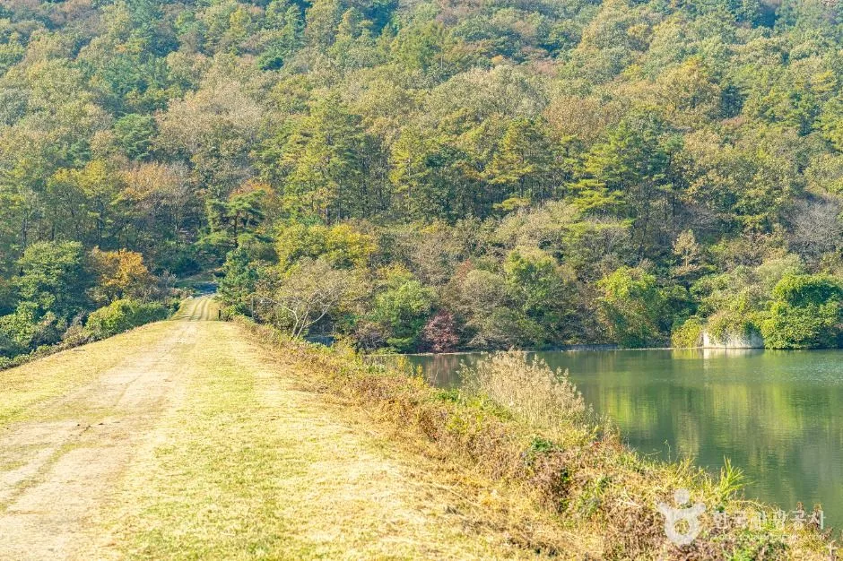 완주_오성제 저수지 (4)