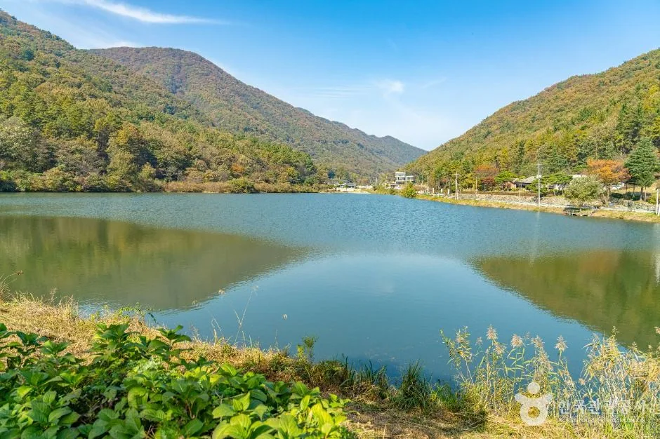 완주_오성제 저수지 (3)