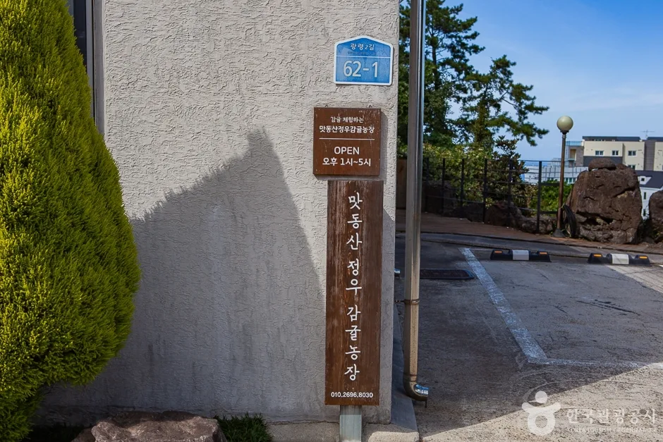 맛동산 감귤체험농장 (4)