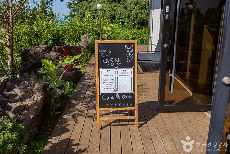 맛동산 감귤체험농장 (3)