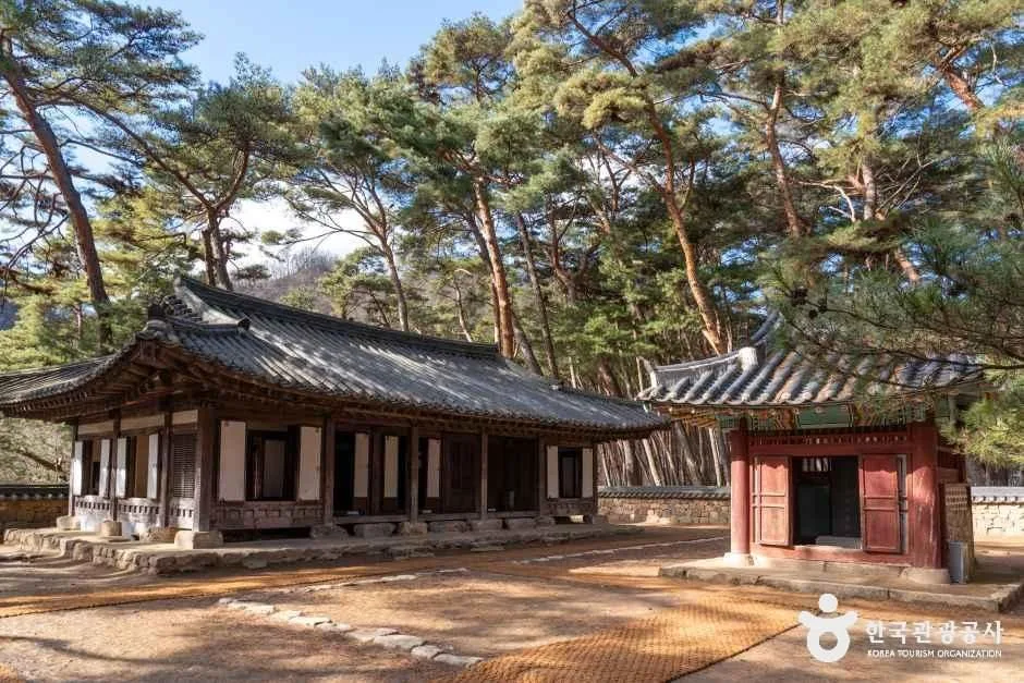 청령포_6