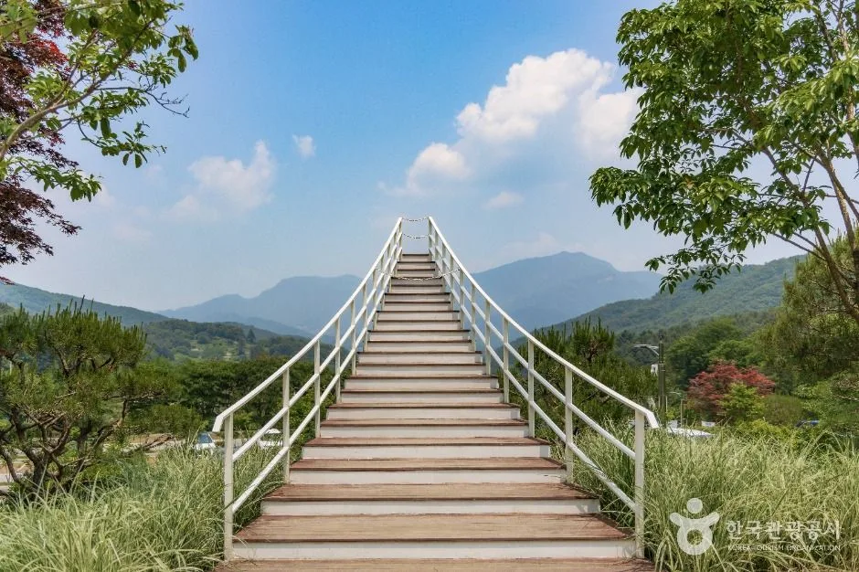 남양주_물맑음수목원 (4)