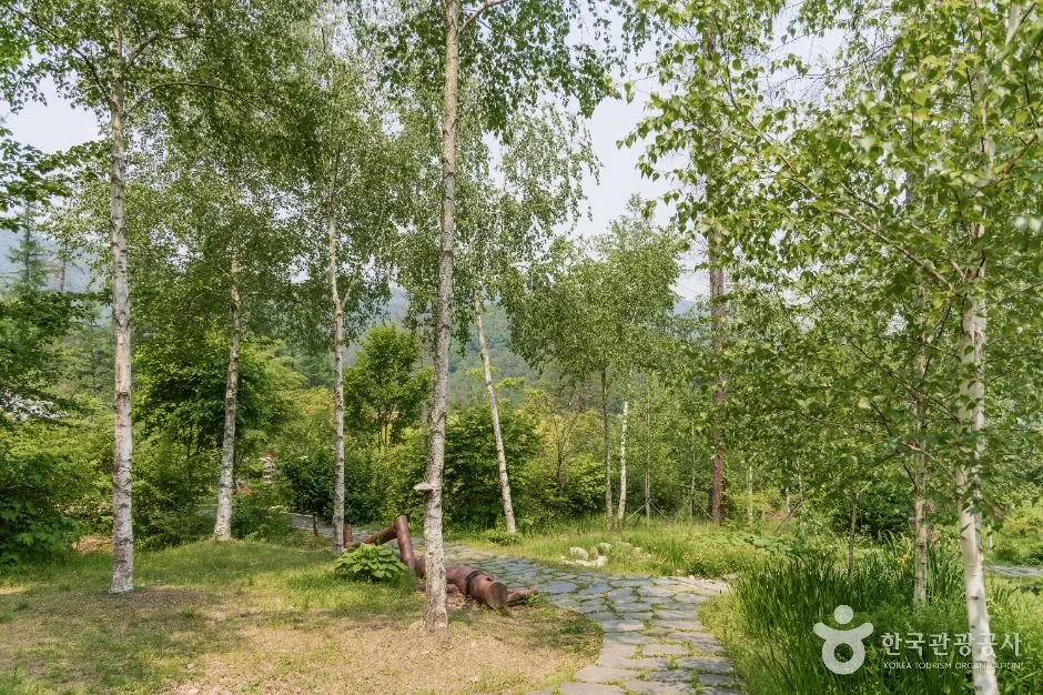 남양주_물맑음수목원 (3)