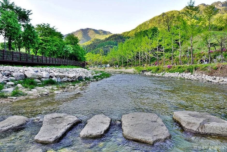 문경_문경생태미로공원 (2)