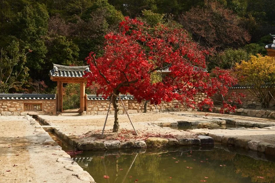 양평_메덩골정원 (6)
