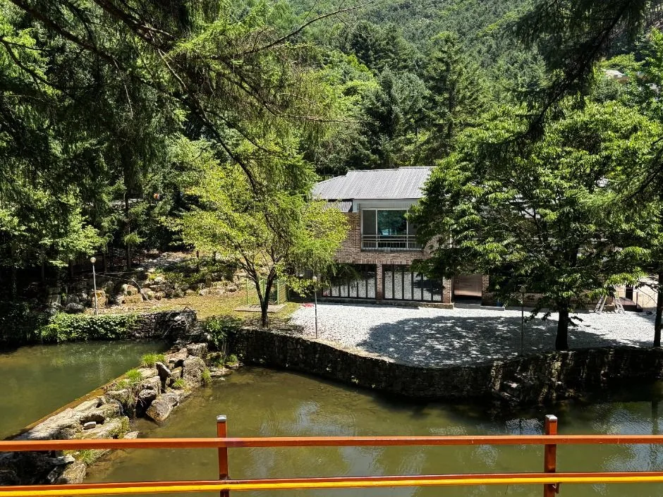 원주_피노키오청소년수련원(피노키오 캠핑장) (18)