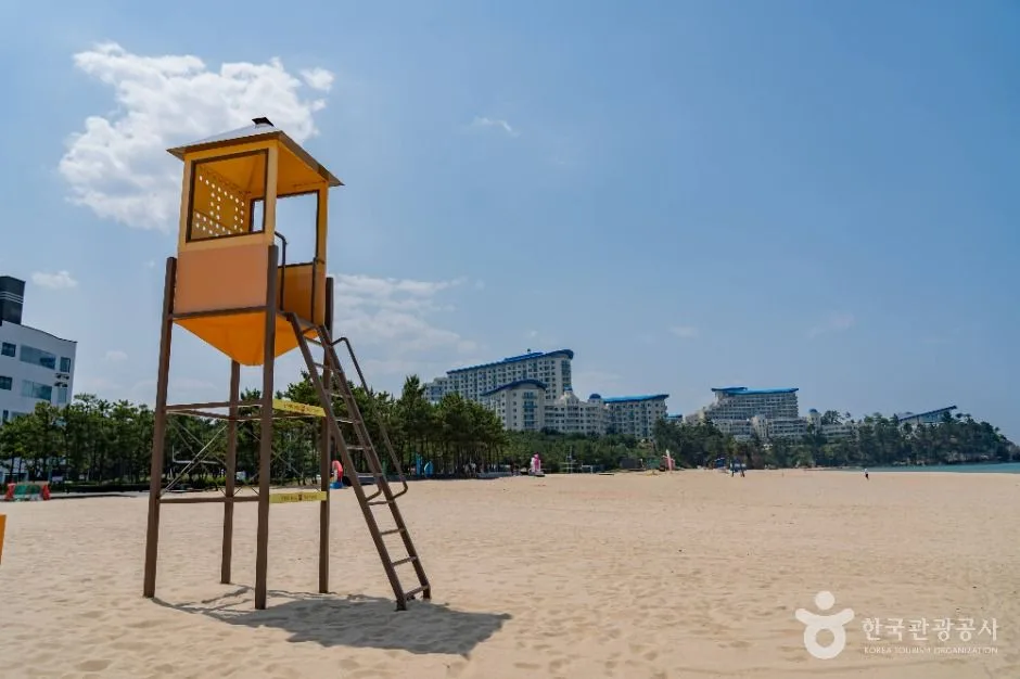 삼척_삼척해변 (8)