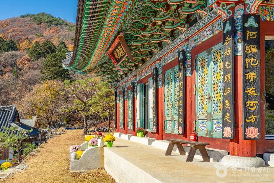 예천_명봉사 (예천) (8)