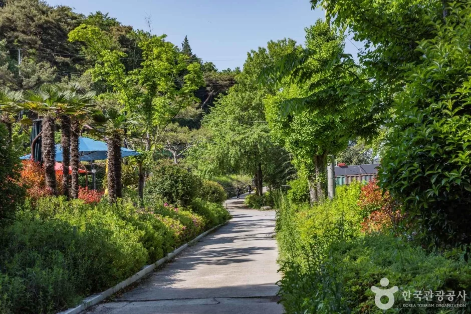 금호못유원지 (9)