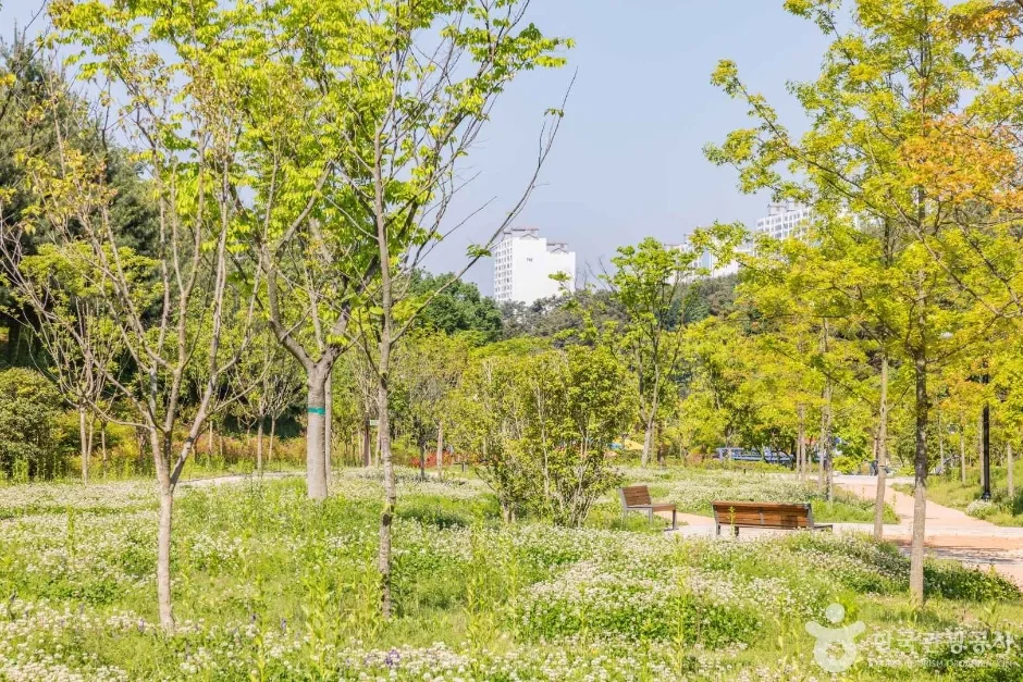 금호못유원지 (7)
