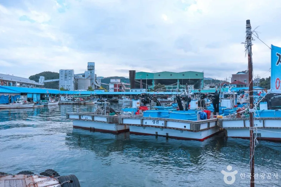 삼척항 대게거리 (1)