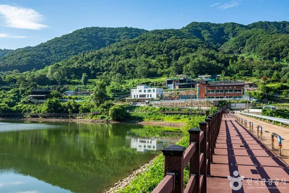 칠곡_유학지 수변공원 (5)