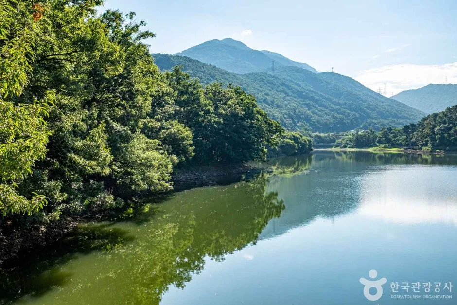 칠곡_유학지 수변공원 (4)