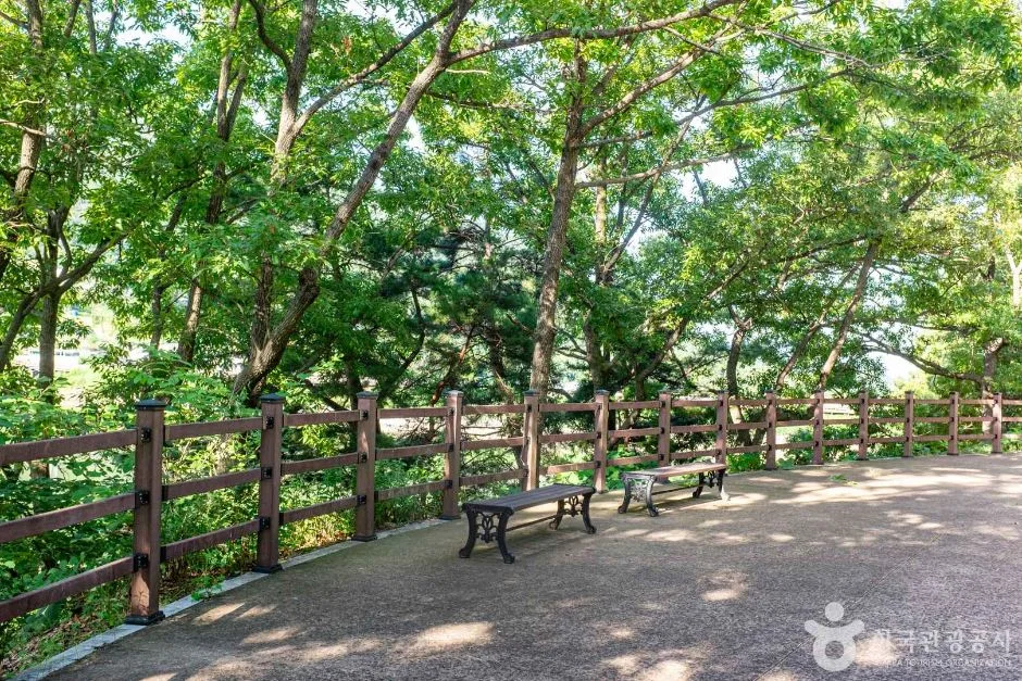칠곡_유학지 수변공원 (3)