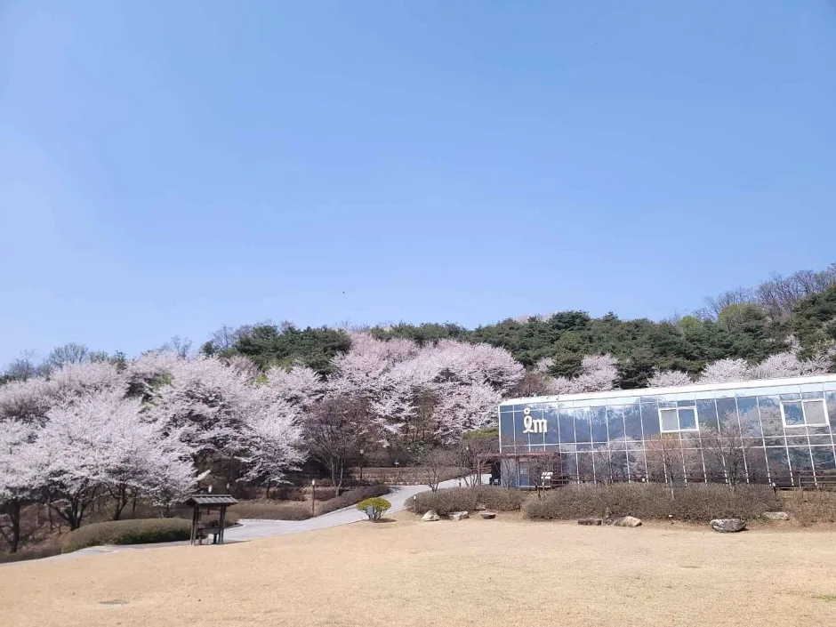 철박물관