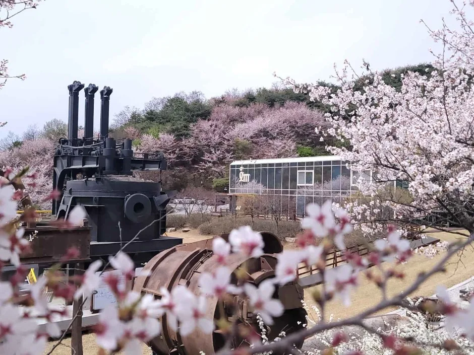 철박물관 (11)