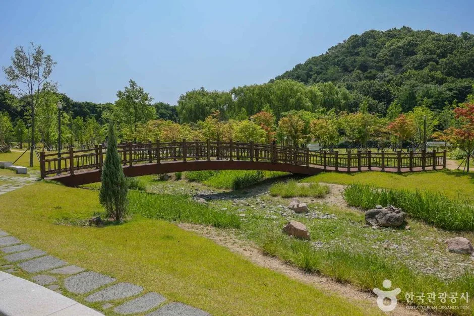 대구대표도시숲 (2)