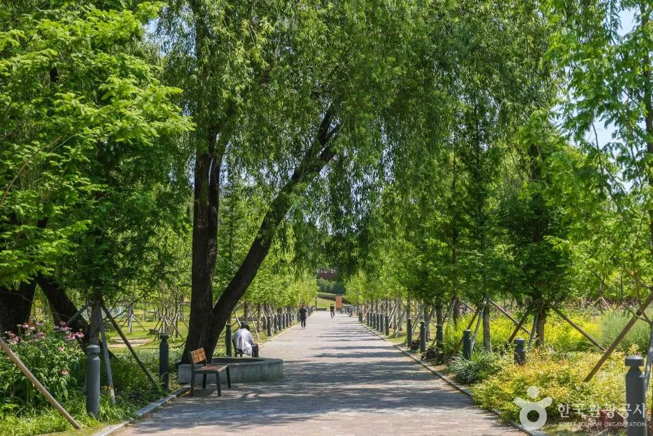 대구대표도시숲 (8)